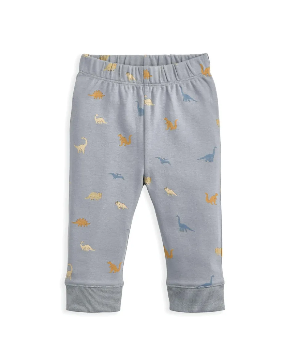 Bedtime Dinosaur Gift Box