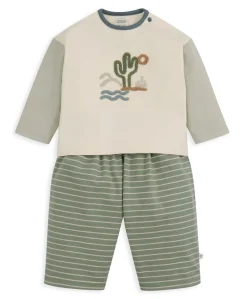 Cactus T-Shirt & Striped Trouser