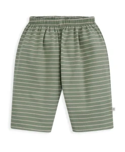 Cactus T-Shirt & Striped Trouser