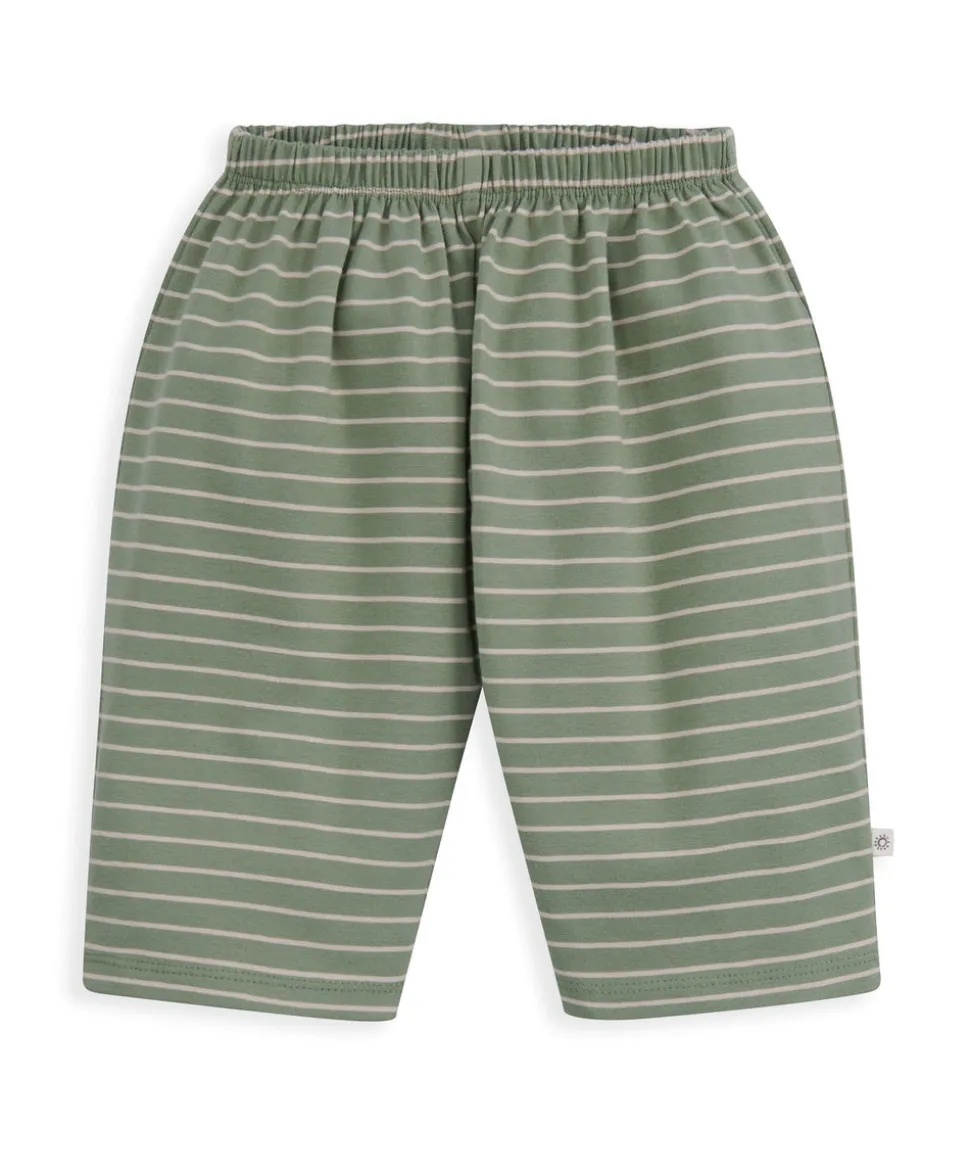 Cactus T-Shirt & Striped Trouser