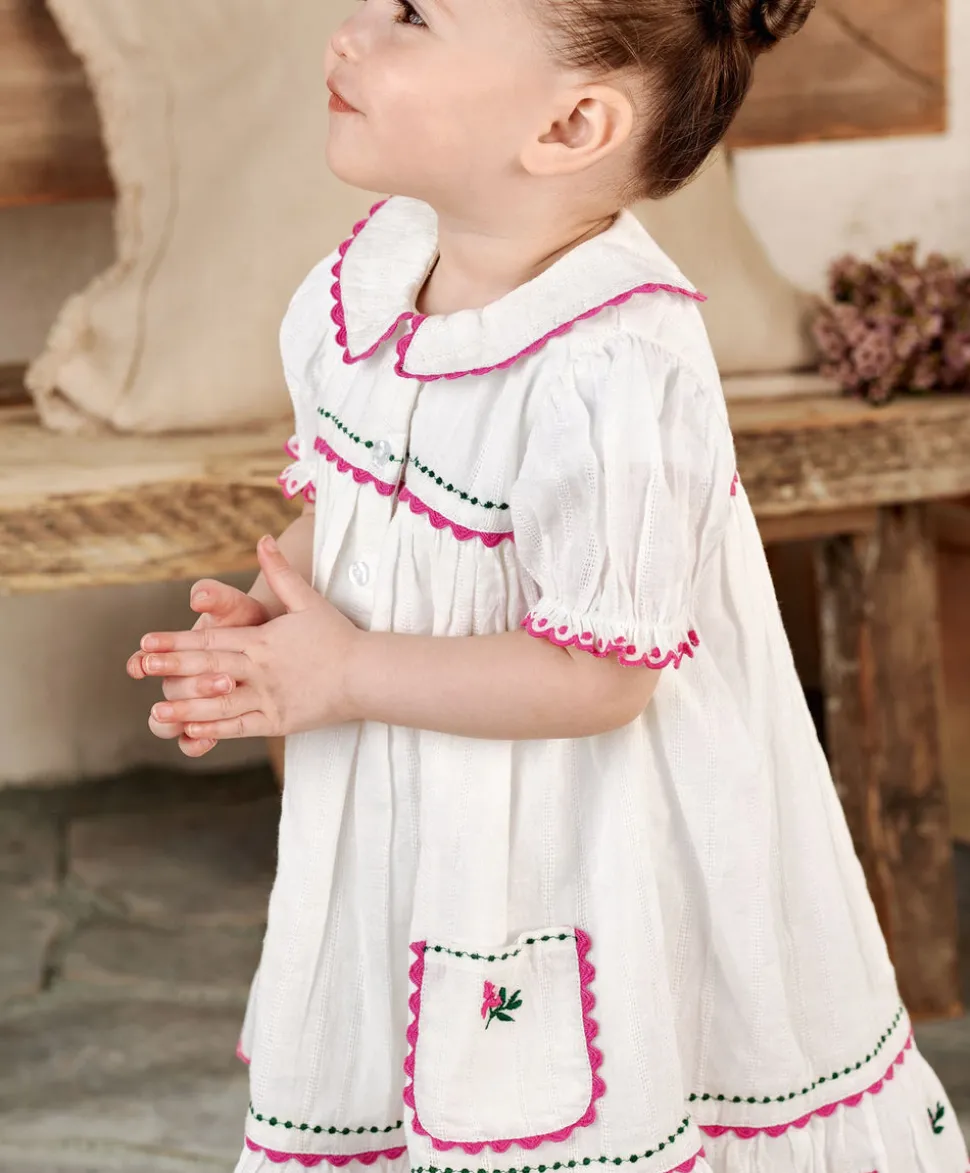 Collared Embroidered Dress