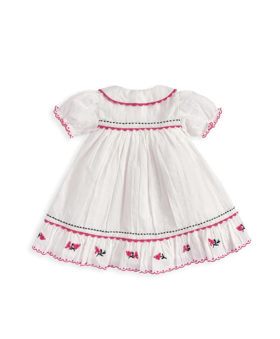 Collared Embroidered Dress