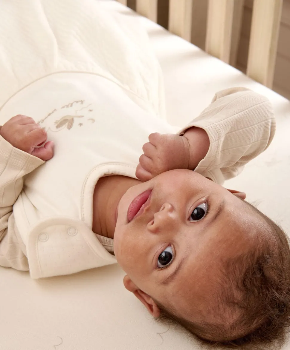 Dreampod Sleep Bag 0-6 Months (2.5 Tog) - Welcome to the World Duckling