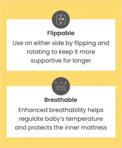 Essential Airflow Fibre Cotbed Mattress