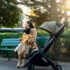 iCandy Pip Pushchair - Sage
