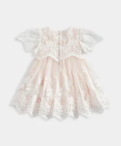 Lace Frill Sleeve Dress