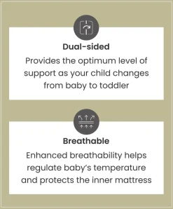 Premium Dual Core + Cotbed Mattress